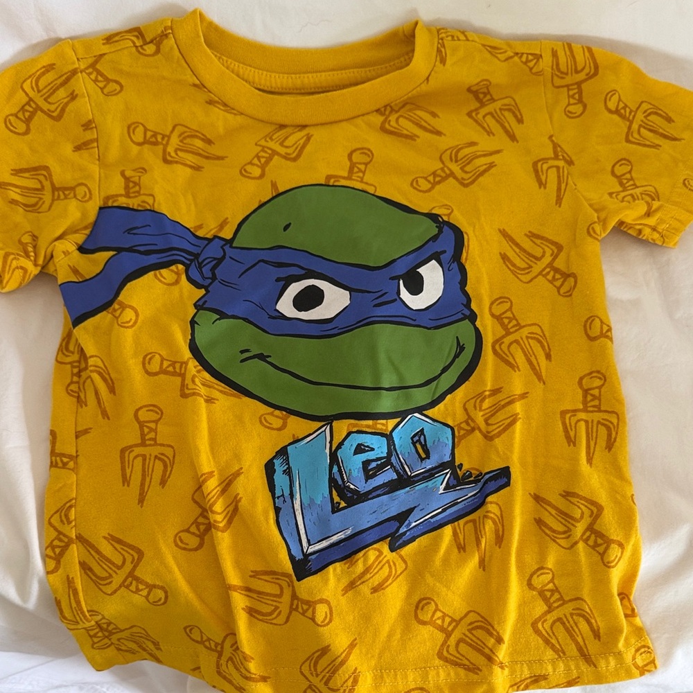 Ninja Turtle Hoodie & Tees - Size 4T - Picture 4 of 6